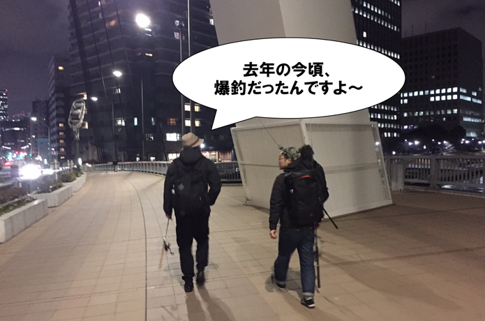 釣りの画像