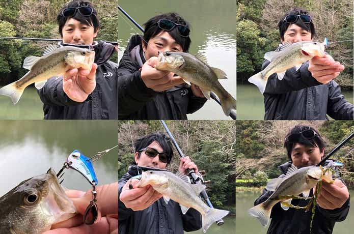 スピンソニックでの釣果