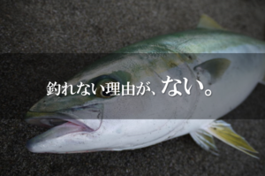 道楽釣りの釣果
