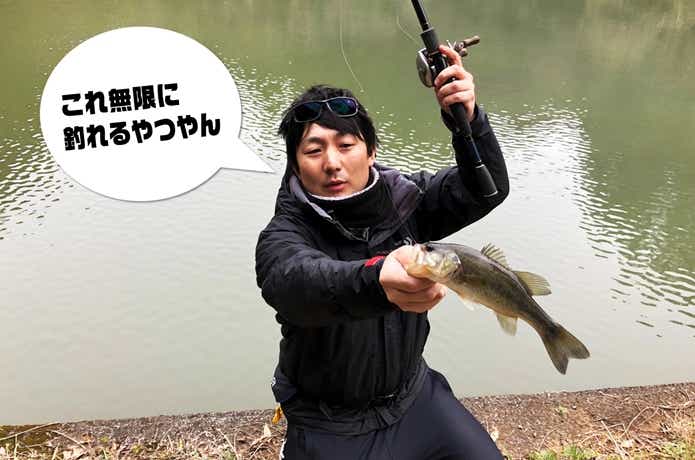スピンソニックでの釣果