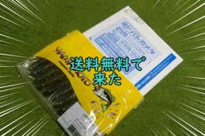ヨドバシで買った釣具