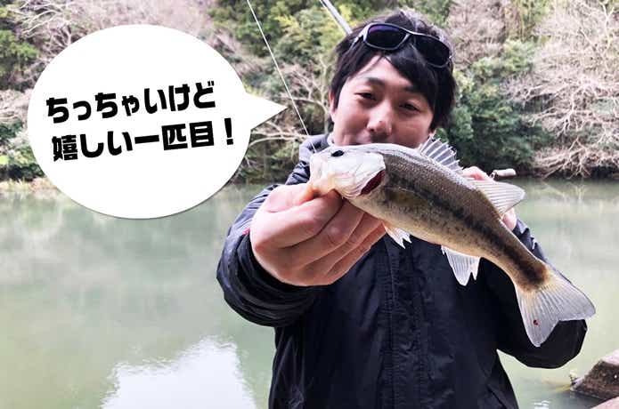 スピンソニックでの釣果