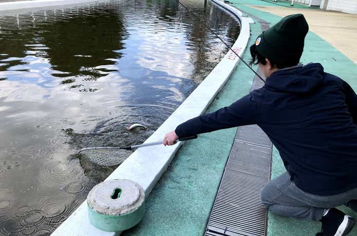 釣りの画像