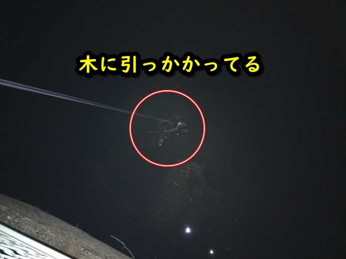ダイワ　ルアーキャッチャー