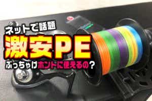 噂の激安PEラインは本当に使えるのか？強度テストと実釣で試してみた