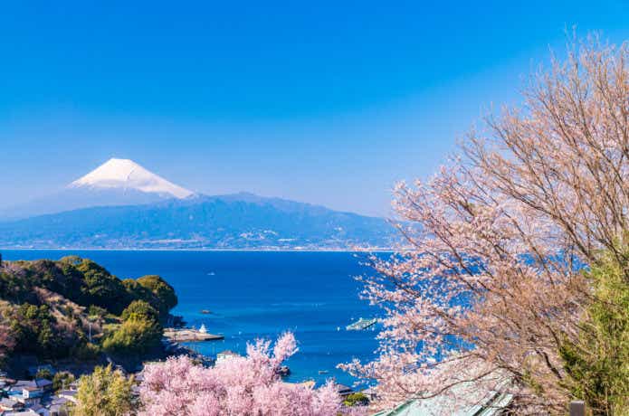 春の釣りの画像