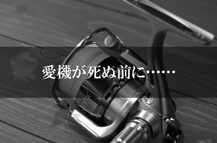 水没したリール
