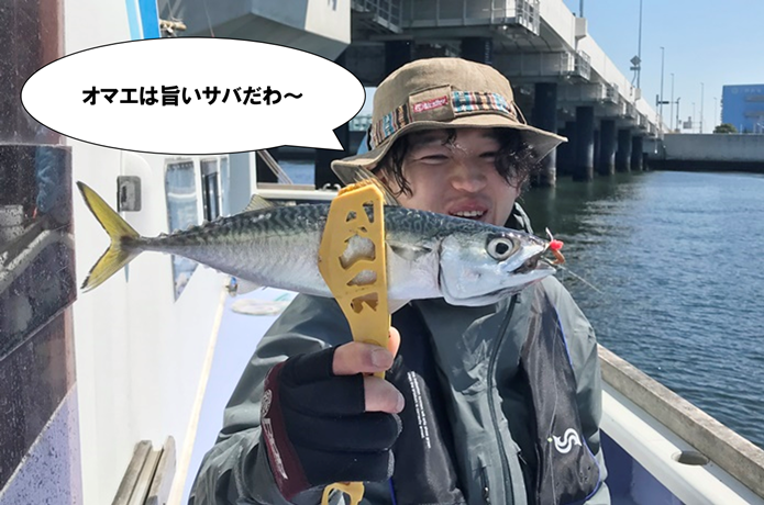 サバの画像
