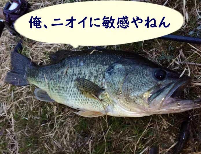 ニオイ　バス