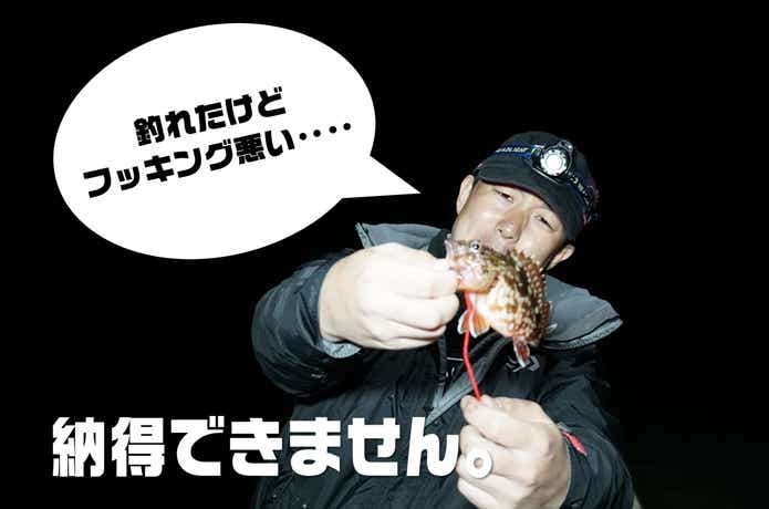 セニョールトルネードとカサゴ