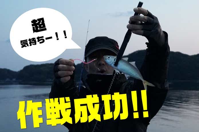 セニョールトルネードで釣ったアジ