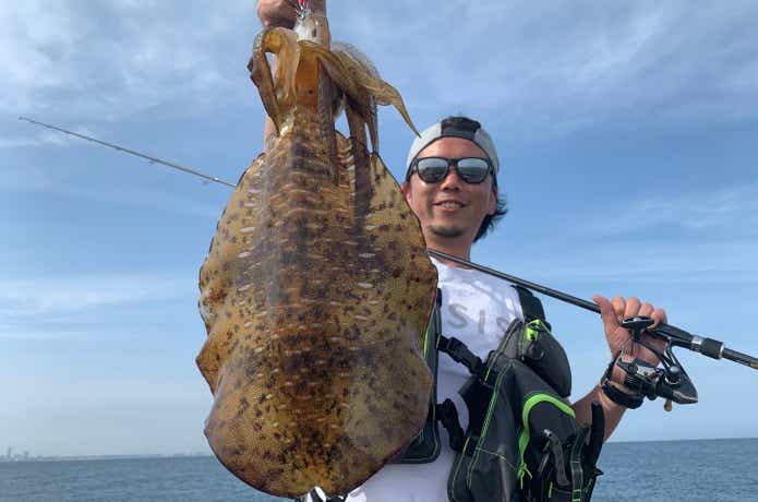 エギングの画像