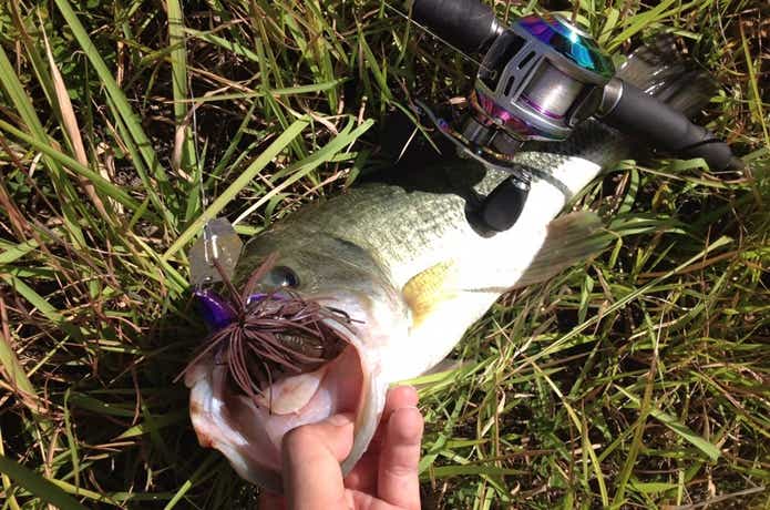 バス釣りの画像