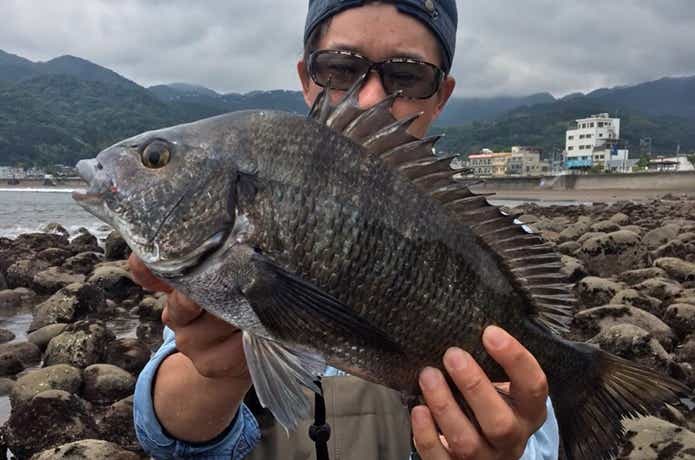 チニングの画像