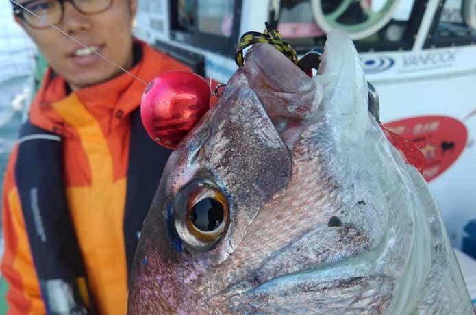タイラバの画像