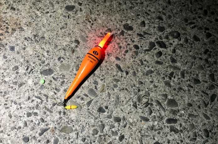 手持ちの道具で“多魚種&大物狙い”！夜釣りをするなら電気ウキが絶対オススメ