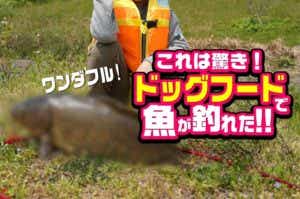 ドッグフードで魚が釣れるのか検証した結果、巨大魚が釣れた！？