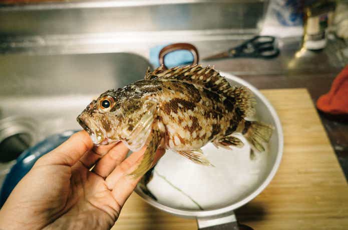 スマートフォンで釣果写真を綺麗に撮影するコツ06