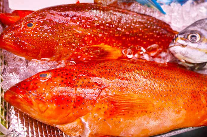 沖縄三大高級魚の画像