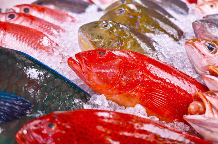 沖縄三大高級魚の画像
