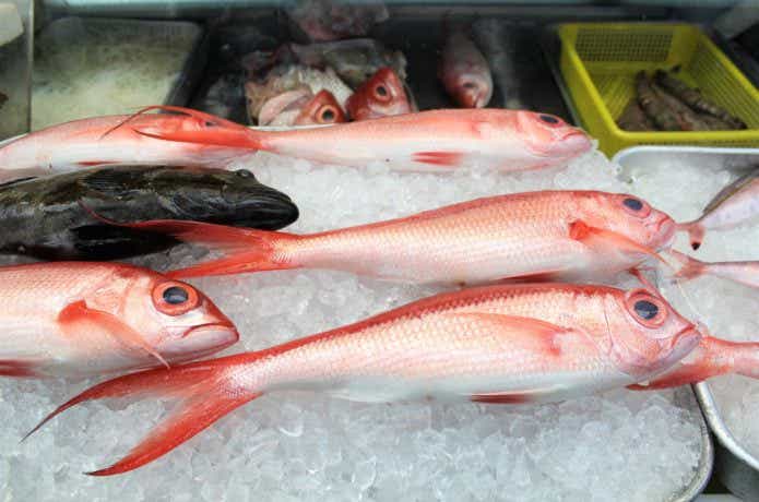 沖縄三大高級魚の画像