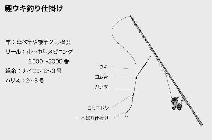 鯉釣りの仕掛けを解説。どんな道具をそろえればいい？釣果UPのコツも ...