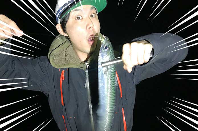 さば