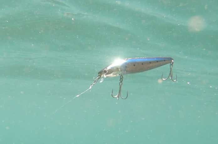 シャローアサシン　水中