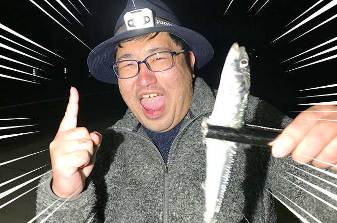 イワシ
