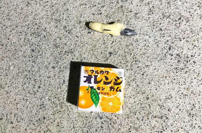 ガム
