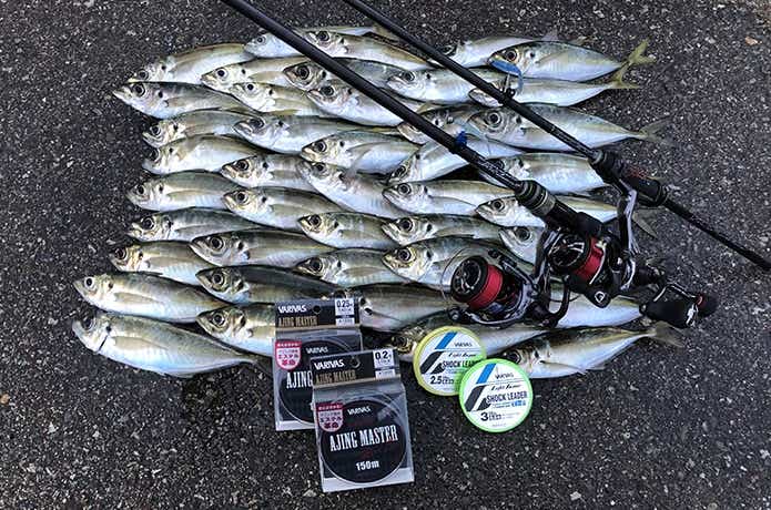 アジングの釣果