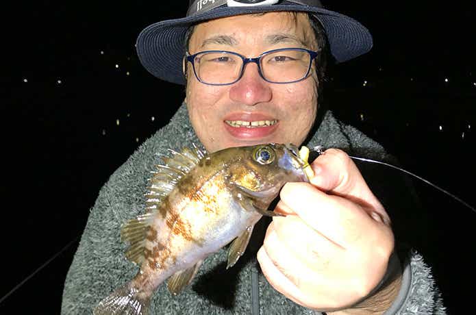 メバル