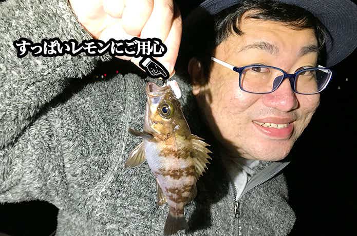 すっぱいレモン