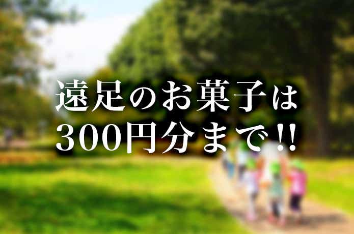 お菓子は300円分まで