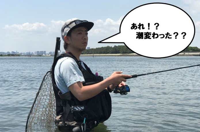 ウェーディング
