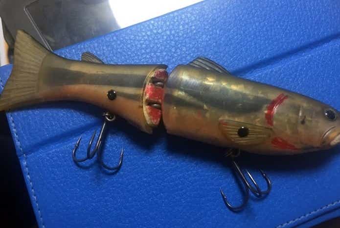 秘技【目玉・寄生獣チューン】でビッグベイトが100倍釣れるよう