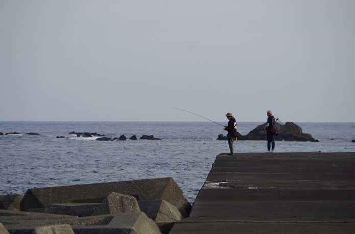釣りの画像