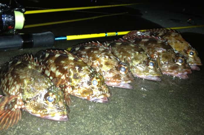 ガルプ！サンドワーム 2インチの釣果