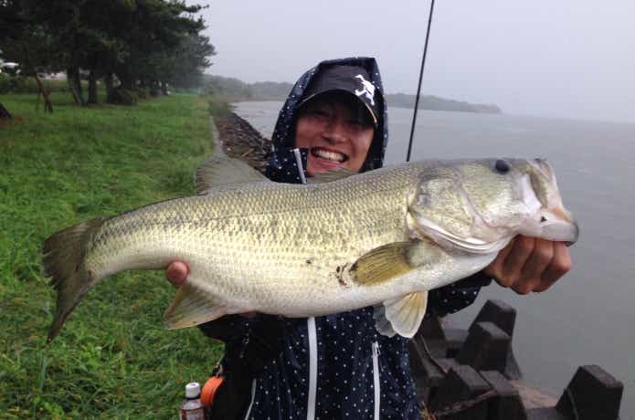 ステルスペッパーの釣果