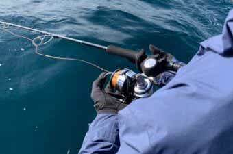 ジギンググローブ