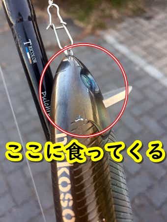 秘技【目玉・寄生獣チューン】でビッグベイトが100倍釣れるよう