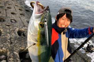 青物