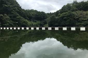 円良田湖　ヘラ桟橋