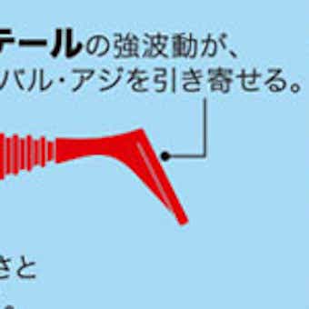 プリプリ尾