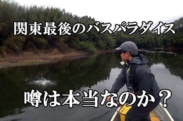 三島湖でバス釣り