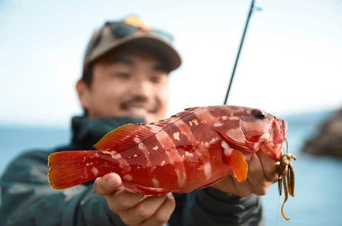 根魚の画像