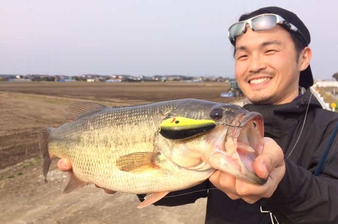 バグリーB2
