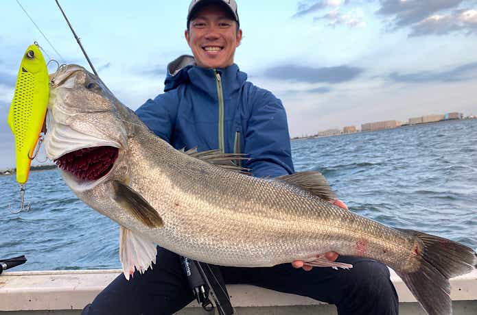 シーバスビッグベイト