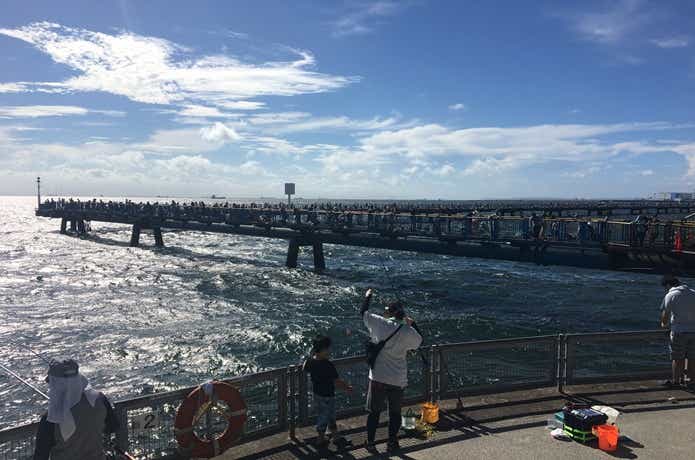 海釣りの画像