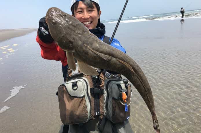 19セルテートの画像